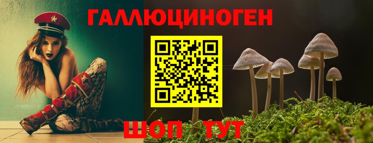 цена   Галлюциногенные грибы Psilocybe  Дзержинск  Вход с VPN  Псилоцибиновые грибы Magic Shrooms 
